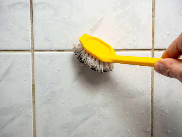Best Local Mold Removal Service  in Elroy, NC