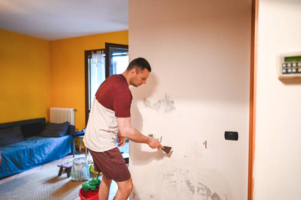Best Fast Mold Removal  in Elroy, NC